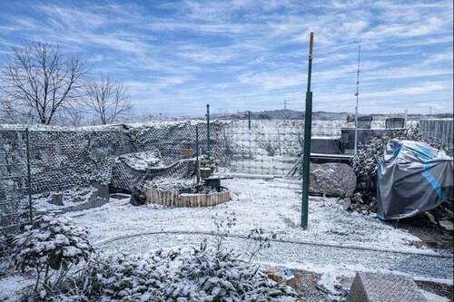 Blick in den Garten - 