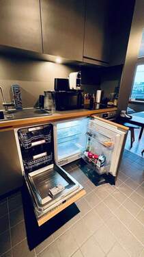 Geschirrspüler mit Kühlschrank - 