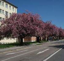 Lutherstr. !!!!!!!! MiT BaLkOn = TOP-moderne Wohnung in Zentrumsnähe!!!!!! - Chemnitz Lutherviertel