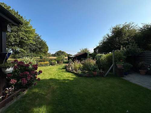 Blick in den Garten - 