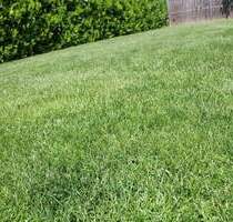 Juwel am Stadtrand - 380.000,00&nbsp;EUR Kaufpreis, ca.&nbsp; 0,00&nbsp;m&sup2; in Regensburg (PLZ: 93055) Schwabelweis