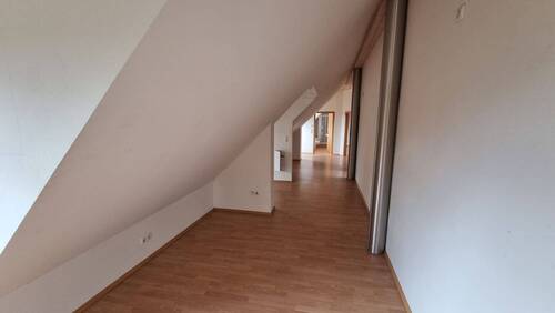 20250911_151448.jpg - 