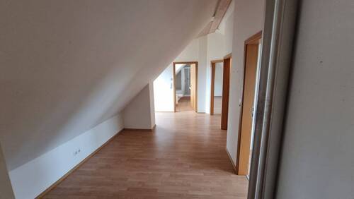 20250911_151456.jpg - 