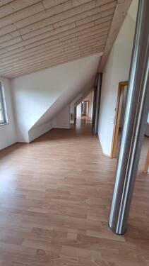 20250911_151434.jpg - 