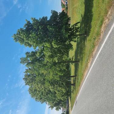 Straßenansicht nach Süd - 