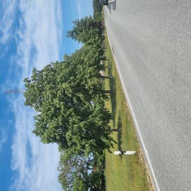 Straßenansicht nach Nord - 