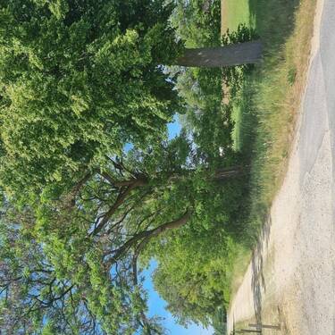 Biotop Südrand 03 - 