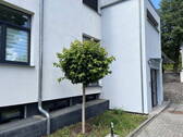 Bild 7 - 