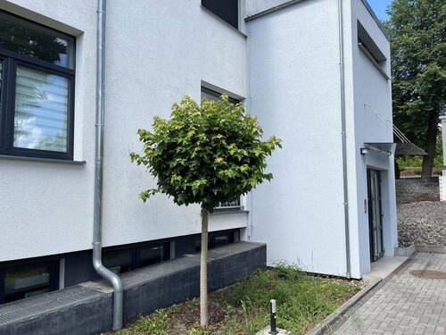 Bild 7 - 