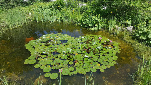 Bild18 - 