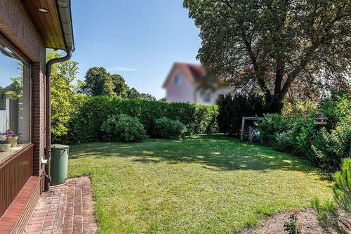 Blick in den Garten - 