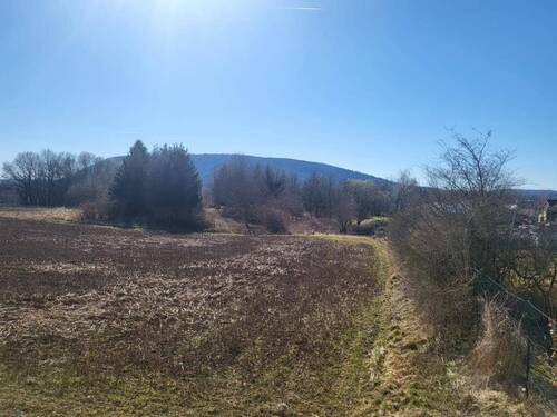 Ackerfläche - Grundstück zum Kaufen in Sonneberg