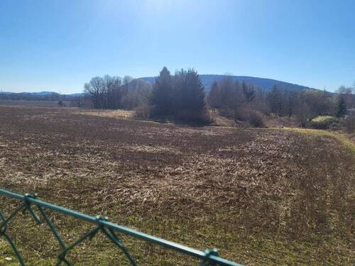 Ackerfläche_2 - Grundstück in Sonneberg