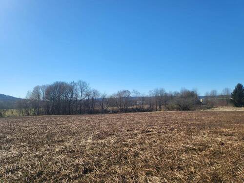 Ackerfläche_3 - Grundstück in Sonneberg zum Kaufen