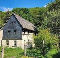 Fast fertig saniert – ruhig & familienfreundlich - Frohburg Gnandstein