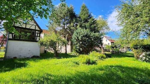 5.jpg - 4 Zimmer Mehrfamilienhaus, Wohnhaus zum Kaufen in Frohburg