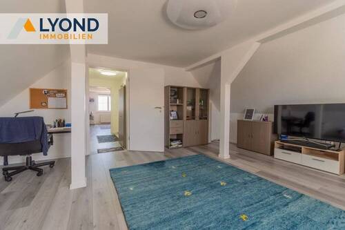 Zimmer DG - 