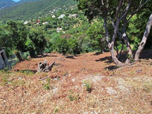 GS 1.jpg - Grundstück in La Croix Valmer