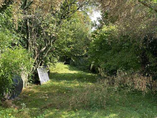 Garten - 4 Zimmer Mehrfamilienhaus, Wohnhaus zum Kaufen in Bergisch Gladbach
