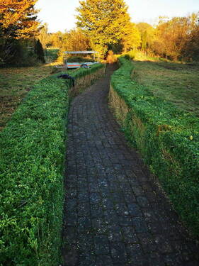 Rundgang im Park - 