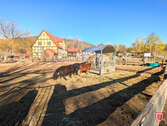 nahegelegene Ponyranch - 