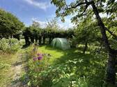 Idylle im Garten - 