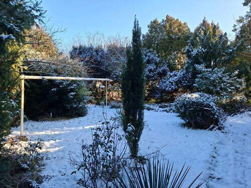 20260107_121754.jpg - 