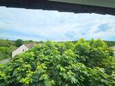 Blick aus dem Dachgeschoss - 
