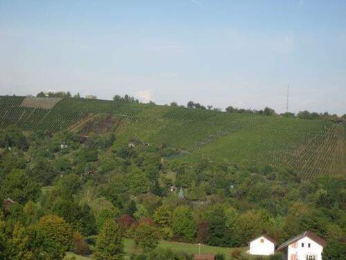 Grüne Lunge in Fußnähe - 4,5-Zimmer-Obergeschoss-Wohnung in fantastischer Aussichtslage auf GärtenWeinberge in priviligierter 2-ter Reihe (2 Balkone, Westlage, Fernwärme)