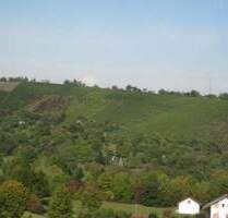 4,5-Zimmer-Obergeschoss-Wohnung in fantastischer Aussichtslage auf GärtenWeinberge in priviligierter 2-ter Reihe (2 Balkone, Westlage, Fernwärme) - Stuttgart Münster