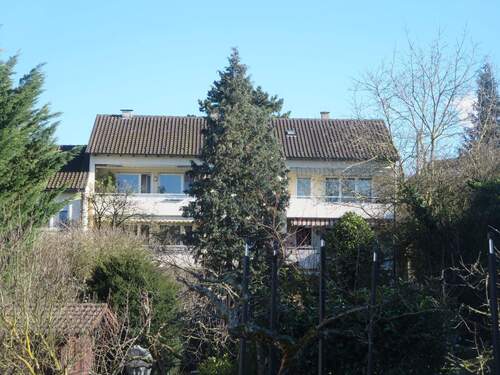 vorgelagerte grüne Lunge (tolle Gärten) - 