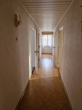 20241207_095721_resized.jpg - 