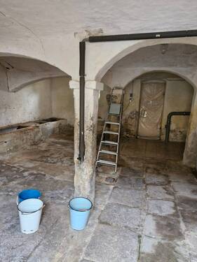 20241207_095344_resized.jpg - 