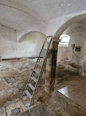 20241207_095332_resized.jpg - 