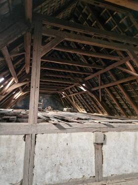 20241207_100545_resized.jpg - 