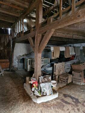 20241207_100515_resized.jpg - 