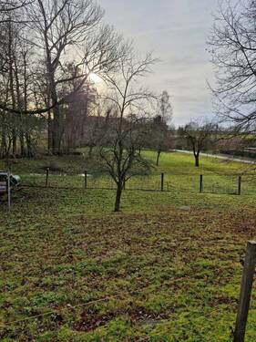 20241207_100222_resized.jpg - 