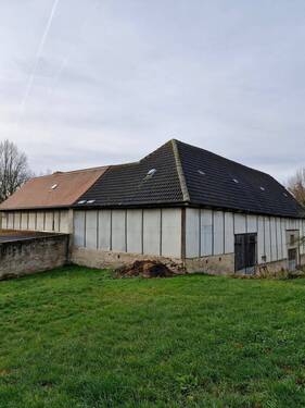 20241207_100133_resized.jpg - 