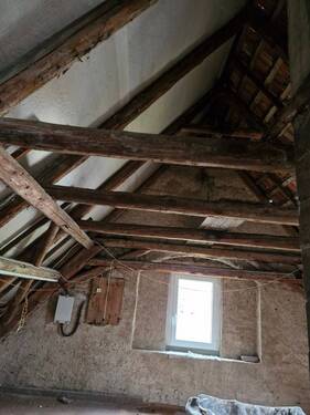 20241207_095915_resized.jpg - 