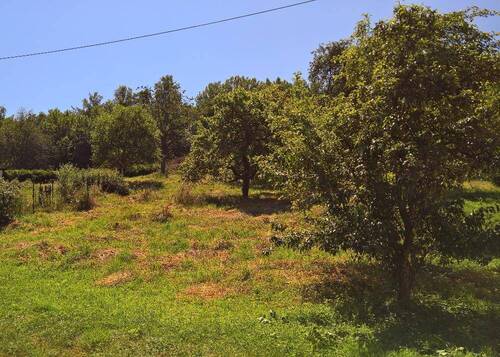 Bild 3 - Grundstück in Wadern