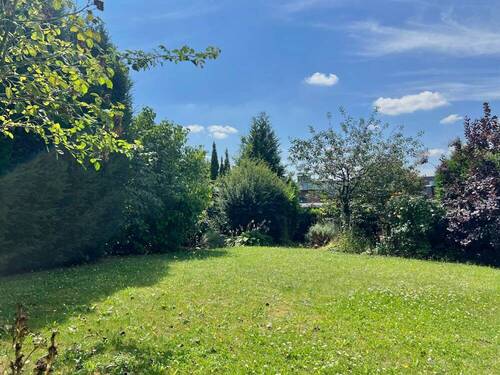 Blick in den Garten - 