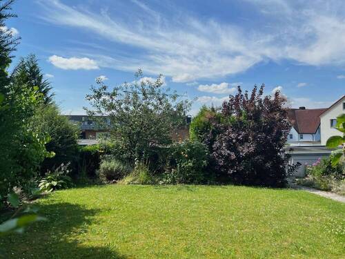 Blick in den Garten - 