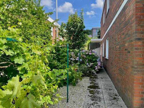 Seitliche Hausansicht - 