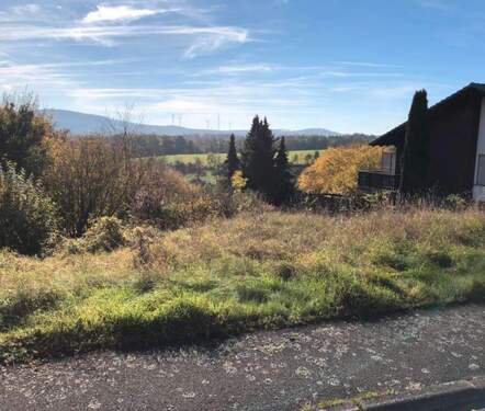 714322cf4cf4a40c6d9da0a514c368 - 5 Zimmer Einfamilienhaus zum Kaufen in Trendelburg