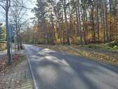 Straße vor dem Grundstück - 