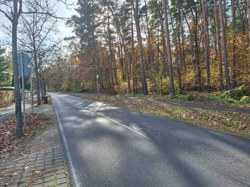 Straße vor dem Grundstück - 