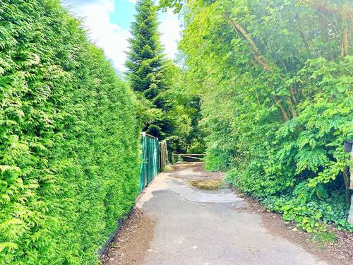 Garten-Hinterausgang - 