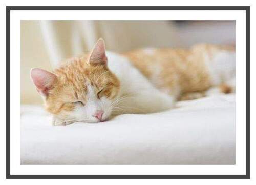 Herzlich Willkommen sagt Hensel Immobilien! :) - Durchstarten in 2026:)) - 653,00&nbsp;EUR Kaltmiete, ca.&nbsp; 35,00&nbsp;m&sup2;&nbsp;Wohnfl&auml;che