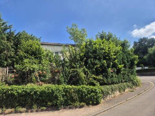 Bild 2 - Halle zum Kaufen in Kröppen