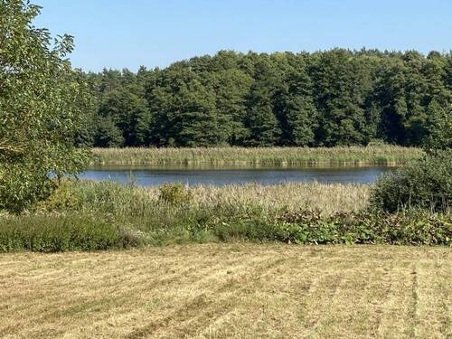 Hofsee - 